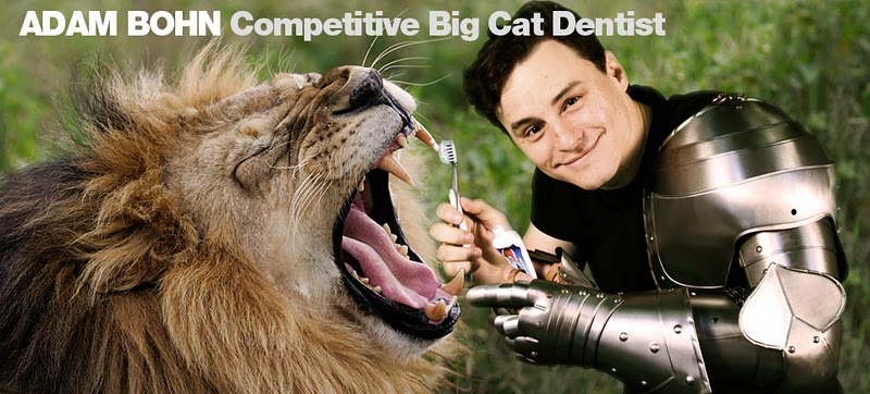 Adam Bohn, Competitive Big Cat Dentist
